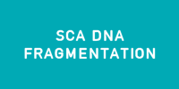 sca_dna_fragmentation_product_new