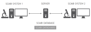 SCA dataShare ejemplo 1 Compartir base de datos