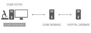 Example 2 - SCA® dataShare
