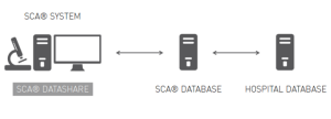 SCA dataShare ejemplo 2 Exportar / importar datos