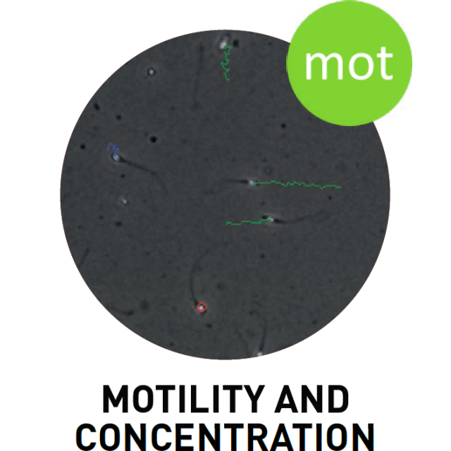 SCA® Motility and concentration sperm analysis for animals - MICROPTIC