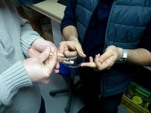 placing_the_sample_in_a_container placing_the_sample_in_a_container