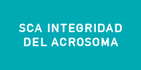 sca_integridad_acrosoma_productos