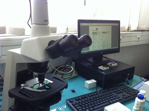 sca_institute_pasteur sca_institute_pasteur