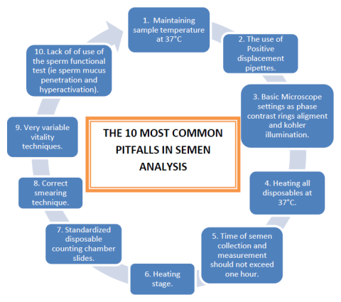the_most_common_pitfalls_in_human_semen_analyses The 10 most common pitfalls in human semen analysis