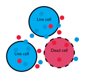 led_illumination_for_sperm_analysis_from_prior_scientific