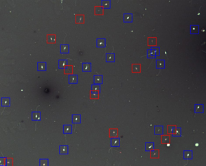 Red boxes showing pink – dead sperm. Blue boxes live sperm (x20 objective 