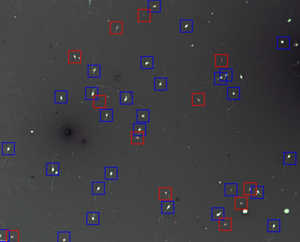 Red boxes showing pink – dead sperm. Blue boxes live sperm (x20 objective