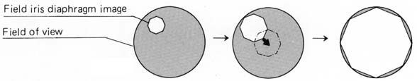 microscope_part_2_fig-1b