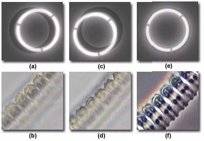 microscope_part_2_fig-2