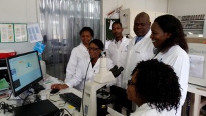 Andrology staff using SCA 6.2 at CIMAS, Harare