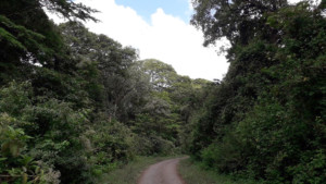 AI laboratory in Tanzania