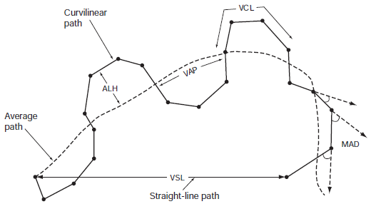 Motion and velocity parameters human semen