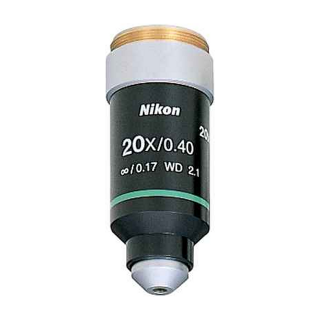 Nikon 20x objective (brightfield)