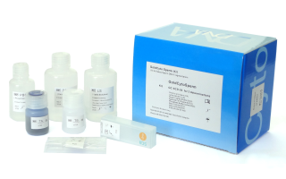 GoldCyto DNA kit for sperm DNA fragmentation test